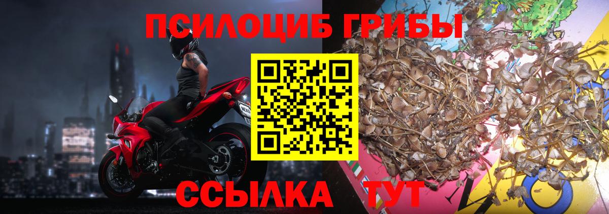 где найти   Галлюциногенные грибы Magic Shrooms  Вход с VPN  Кропоткин 